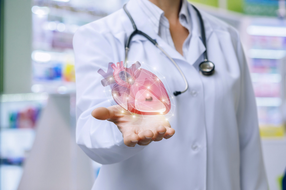 Doctor shows heart in his hand .